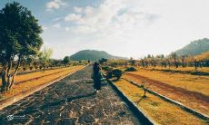 的失望句子：表达夫妻关系痛苦的，意味深长的一句话，反映了妻子长期沉淀的不满和对丈夫的失望