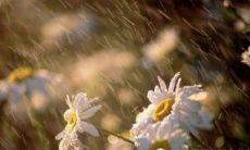 成长和成熟:一个人经历的不同阶段和所得到的宝贵经验