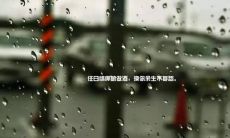 听了让人深感心痛的话语，触动心灵深处