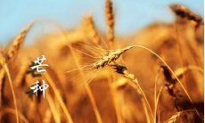 2022年的芒种:经典又好听的说说,分享在微信朋友圈的芒种感悟和心情!