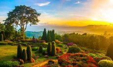 享受大自然美景:透过描述公园景色的绚丽、优美、静谧、和平与恬静的句子,让我们愉悦地沉浸在自然之中