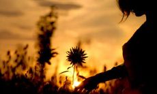 哀悼逝去人生的经典句子，表达深沉的悲伤之情