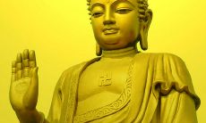 深入探索佛陀教义的精华,汲取智慧涵泉的佛家经典语录大全