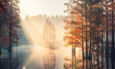 探寻唯美人生的灵魂启示——关于人生格言的励志短句