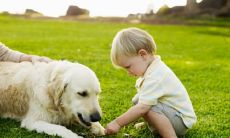 我后悔离开前妻的决定：一段反思过去的痛苦经历