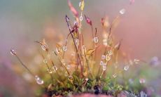 探讨寒露时节下,朋友圈里的早安问候语如何更加生动化和更有意义性