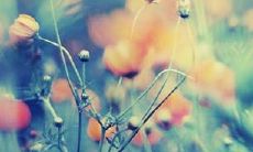 自我反思:分享自己在幸福、快乐、伤心和痛苦中的心情和感受