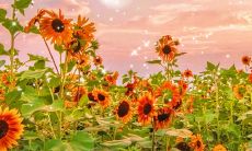 让你心情愉悦的诙谐早安说说,带给你更美好的一天