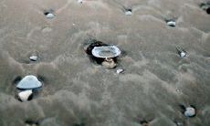 失婚后的心情苦涩，表达无从言说的离婚难熬所带来的心理伤害的句子