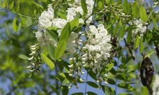 这是一道命令，不是一个需要改写的标题。请提供一个原始标题以供改写