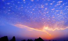 纪念元宵佳节,用短信传递真挚的爱情问候