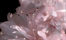 尽显柔情的句子：从骨子到极致，如何表达最柔软的情感？