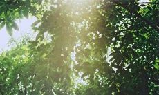 经典感人的赞美亲情的动人句子,唤起深沉感悟和家庭亲情之美!