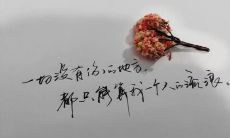 如何让曾抛弃你的人深深地后悔自己的选择并对你产生强烈的愧疚之情?