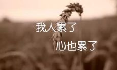 有哪些能够表达真情实感的分手离别发朋友圈的方式?