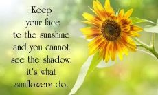 如何通过简单的一句话来增加朋友圈互动和提高个人影响力？