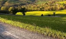 经典感人的亲情话,包含母爱、父爱、子女情等多方面表达爱意的话语汇总,让你更加深刻体验家庭之间的感情温度