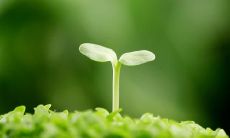 创造发自内心的感人情感句子,表现亲情之间的深情厚爱与感动场景