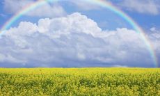 A collection of heartwarming and poignant sentences on the significance and complexity of familial bonds and the cherished love shared amongst kinship groups