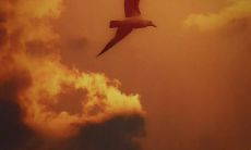 哪些话语或句子能够触发你的孤独和失落情绪？