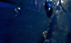 勇敢而深情的句子:探寻坚韧内心所需的勇气与慈悲