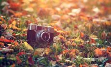 收集：100位成功男性的鼓舞人心的励志名言及警句