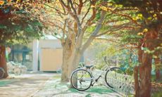 107句唯美的关于岁月的句子，给你带来留恋时光的感悟和深刻思考