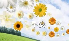 早安!揭晓高智商魅力,如何通过巧妙情话套路斩获TA的芳心!