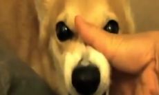 探究控制情绪的座右铭：如何缓解愤怒、减轻焦虑并保持平静的心态？