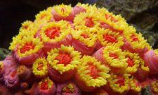 收录了许多优美的短句的句子摘抄大全