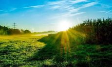 夏季问候短信:精简而充实的表达的好方法!