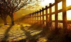 21句抒情的秋季句子,表达对这个美丽季节的热爱和情感寄托