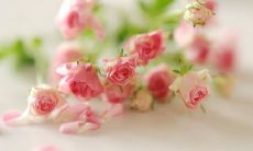 五一节快到了,想发问候短信给物业?来看看这些短信模板吧!