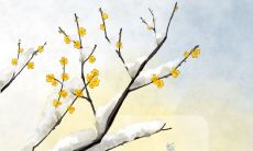 带着温馨祝福语的冬至图片分享，让我们一同感受节日氛围！