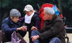 祖孙之间的深厚情谊:表达对家族传承、家族历史和家族价值观的认同与尊重的语句