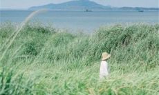 孤寂萦绕的爱情短语:探寻内心深处的情感禅思