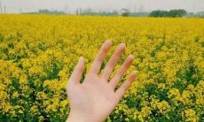 秋季旅游的美好心情:分享开心短语和句子,让你欢喜倍增!