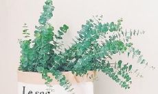 让人备感失落与痛苦的悲伤长句，让你心碎不已