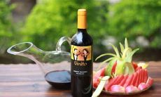 探究酿酒历史、美食搭配、酒精度数及健康影响的综合性酒文化研究