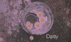 探究神仙般柔顺的极致语句：超级温柔的句子推荐