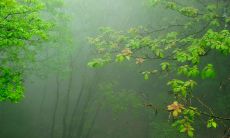 在烟雨迷蒙的日子里，我们乘着氤氲的气息，重新登上了楼顶