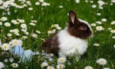 在中元节期间发朋友圈，推荐使用以下20句话来表达你的祝福和思念之情