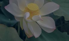 积极向上的阳光励志短语:汇集积极乐观的激励言辞