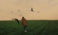 An Assortment of Sublime English Phrases to Enrich Your Lexicon and Inspire Your Prose