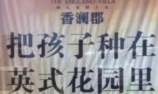 如何打造理想的房地产广告词？从搭建情感连接到创造视觉亮点，探索提高点击率的诀窍！