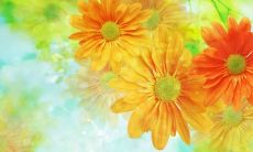 汇集各行业、各领域，整合经验、智慧与信念的励志名言、警句与箴言，助您攀登成功的人生高峰！