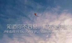 用感恩和诚信元素构建的完美句子,让人深刻领略到它的美好价值