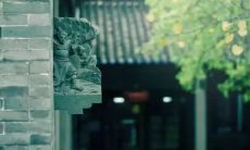 从现实生活中领悟:放下一切的信念,才能真正得到解脱的关于生命感悟的分享