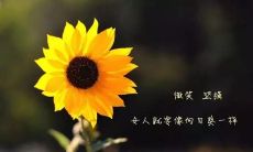 2022年最佳新年朋友圈发文示范:精心编排的文案和句式推荐,让你在社交媒体上更引人瞩目,更加受欢迎!