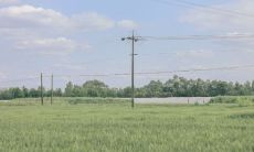 2022年立夏节气之美:一系列精美绝伦的句子,生动描绘立夏的独特之美